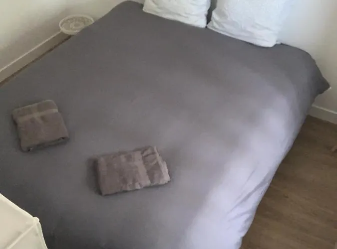 Du Parc Du Moulin Du Pre Apartment *